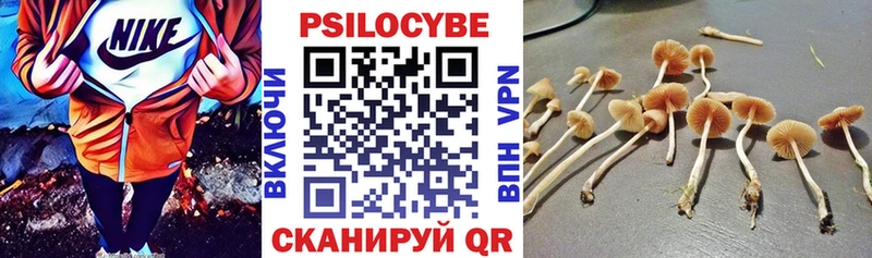 как найти наркотики  Алушта  площадка наркотические препараты  Псилоцибиновые грибы MAGIC MUSHROOMS 